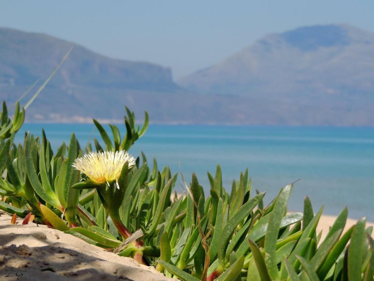 Tonnara Apartments ألكامو مارينا المظهر الخارجي الصورة